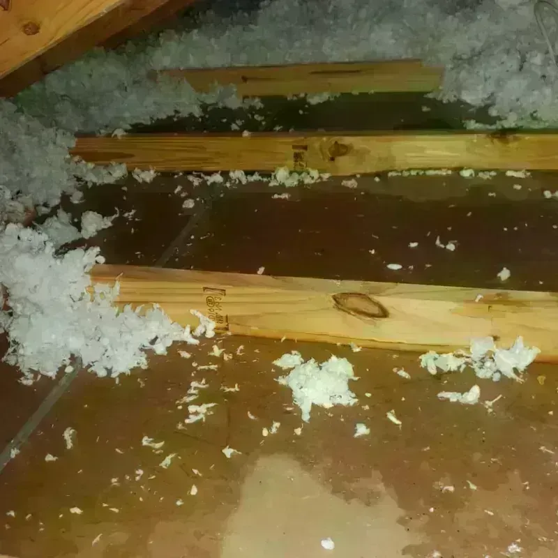 Attic Water Damage in Walden, TN